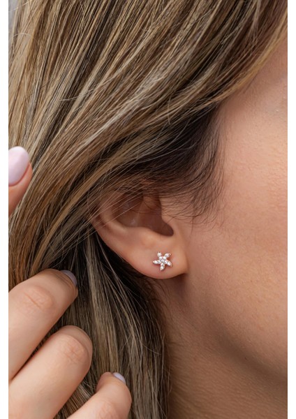 925 Ayar Gümüş Rose Kaplama Minimal Deniz Yıldızı Küpe indirimleri