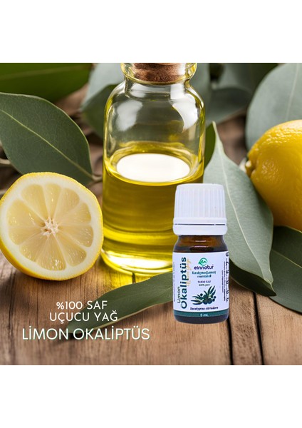 Ein Natur Okaliptüs (Limon) Uçucu Yağı, 5 ml, Eucalyptus Citriodora Essential Oil