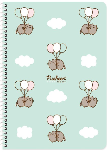 A4 Çizgili Spiralli Karton Kapak Defter No:4 80 Yaprak