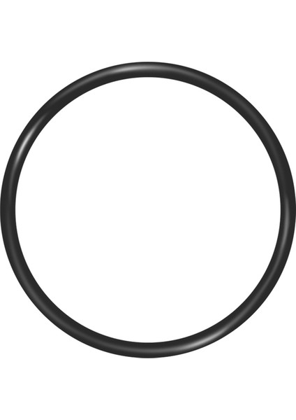 Water 151122 Büyük Mavi Oring Buna-N () Için Yedek O-Halkalar (Yurt Dışından) fırsatları