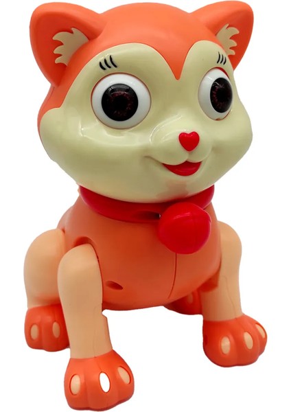 Pilli Yürüyen Kedi Robot