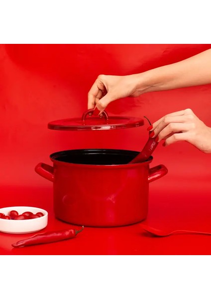 Rainpot Tencere 20CM