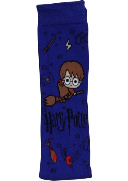 Hp Desenli Mavi Renkli Çorap