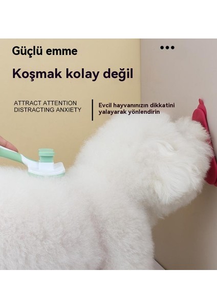 Ev Köpek Yalama Yavaş Yemek Mat (Yurt Dışından)