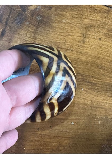 Desenli Kemik Kadın Bilezik Çap 7 cm