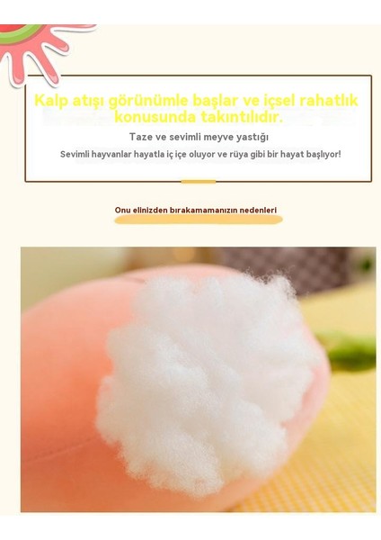 40CM Meyve Havuç Yastık Bebek Peluş Oyuncak (Yurt Dışından)