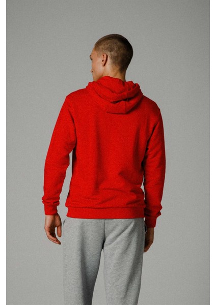 Kapüşonlu Erkek Sweat EM279-RD modelleri