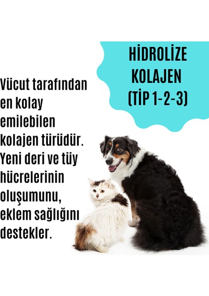 Tüy Dökülmesini Engelleyen Kedi ve Köpekler Için Tüy & Deri Güçlendirici Özel Destek Ürünü