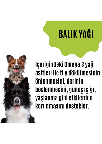 Tüy Dökülmesini Engelleyen Kedi ve Köpekler Için Tüy & Deri Güçlendirici Özel Destek Ürünü