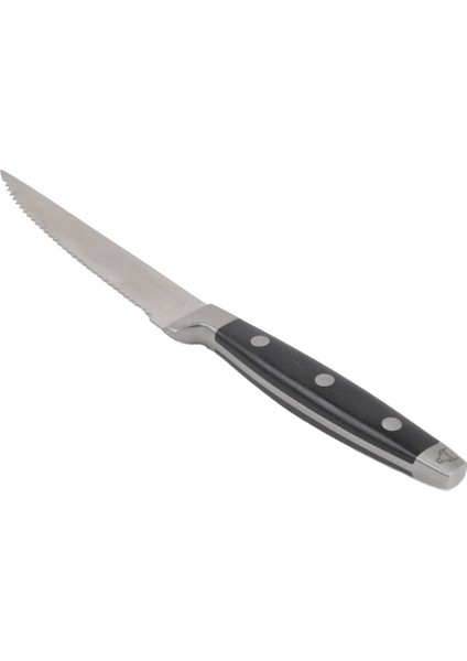 Abs Siyah Saplı Lüks Steak Bıçağı 21 cm