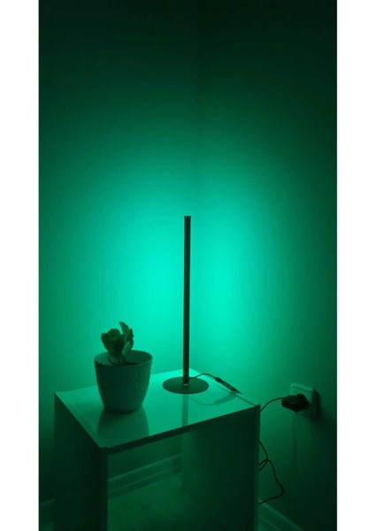 Rgb Lambader Bluetooth Mobil Kontrollü Dekoratif Masaüstü Yatak Başı LED Lambader Aydınlatması 50CM