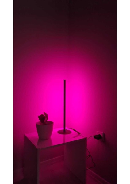 Rgb Lambader Bluetooth Mobil Kontrollü Dekoratif Masaüstü Yatak Başı LED Lambader Aydınlatması 50CM