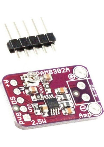 PAM8302 5V 2.5W Class D Mono Amfi Mini Dijital Amfilikatör Müzik Ses Yükseltici Kuvvetlendiriciaudio indirimleri