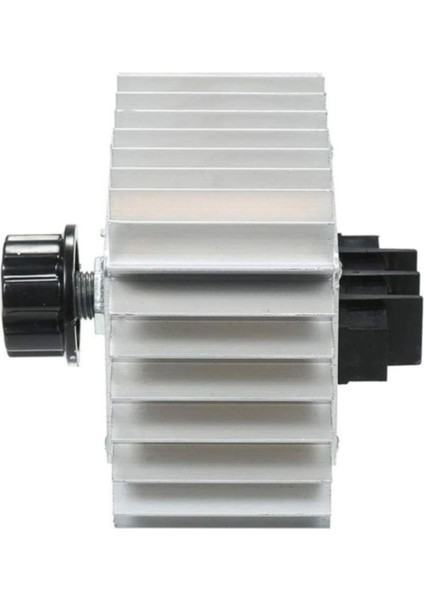 Ac 220V 5000W Dimmer Scr Ac Motor Hız Devir Kontrol Elektrikli Fırın Rezistans Su Isıtıcı Lamba