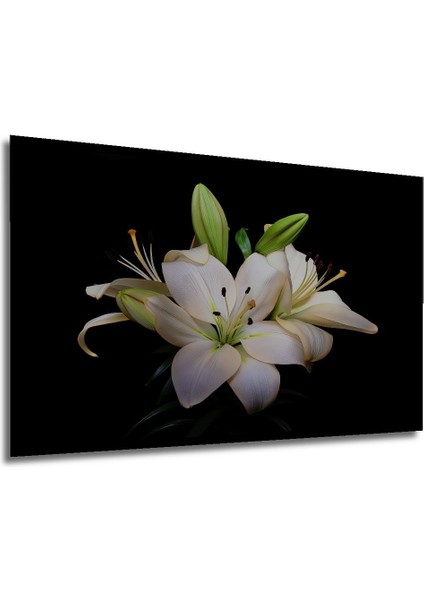 Dekoratif Yatay Modern Çiçek Duvar Tablo Ahşap Dikdörtgen Tablo fırsatları