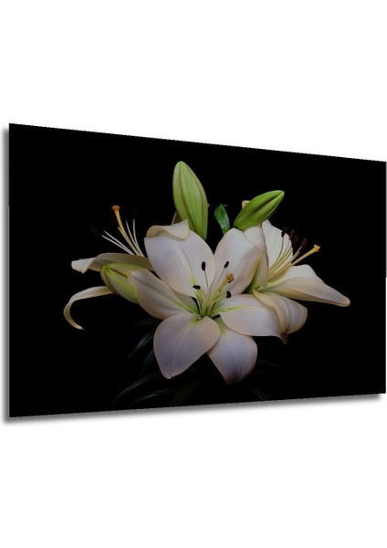 Dekoratif Yatay Modern Çiçek Duvar Tablo Ahşap Dikdörtgen Tablo indirimleri