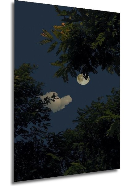 Dekoratif Dikey Ormandan Dolunay Manzara Duvar Tablo Ahşap Dikdörtgen Tablo modelleri