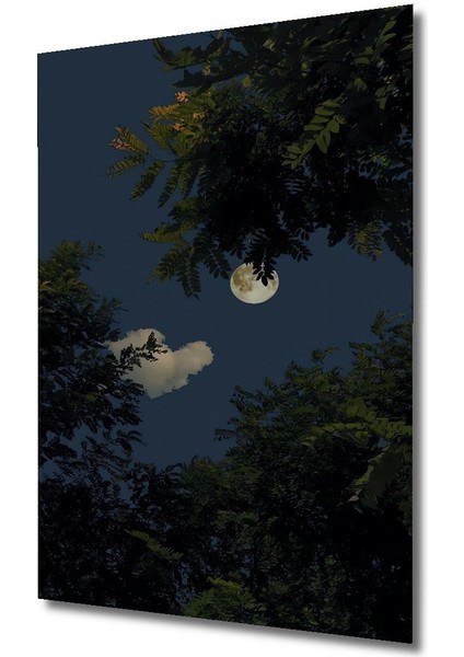 Dekoratif Dikey Ormandan Dolunay Manzara Duvar Tablo Ahşap Dikdörtgen Tablo fırsatları