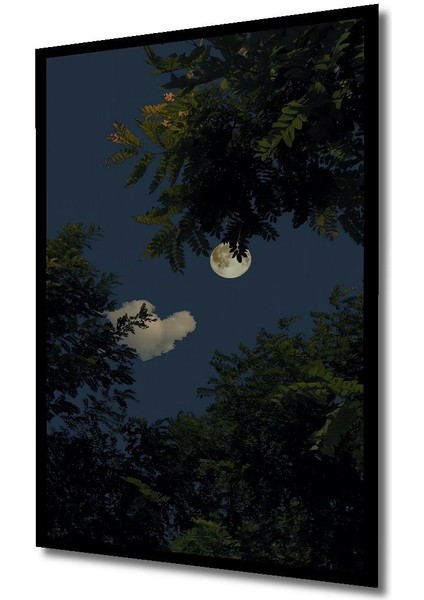 Dekoratif Dikey Ormandan Dolunay Manzara Duvar Tablo Ahşap Dikdörtgen Tablo indirimleri