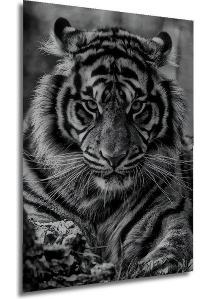 Dekoratif Dikey Siyah Beyaz Kaplan Duvar Tablo Ahşap Dikdörtgen Tablo modelleri