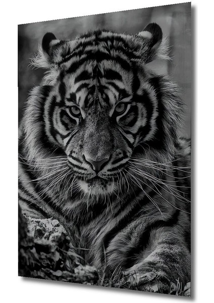 Dekoratif Dikey Siyah Beyaz Kaplan Duvar Tablo Ahşap Dikdörtgen Tablo fırsatları