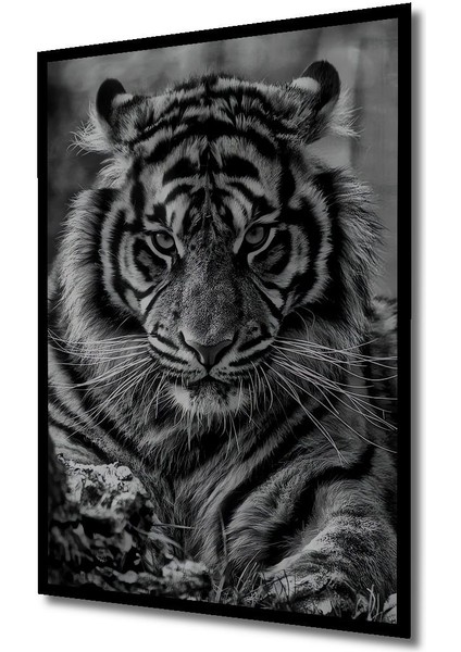 Dekoratif Dikey Siyah Beyaz Kaplan Duvar Tablo Ahşap Dikdörtgen Tablo indirimleri