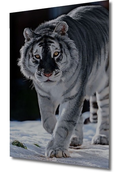 Dekoratif Dikey Sibirya Kaplanı Duvar Tablo Ahşap Dikdörtgen Tablo fırsatları