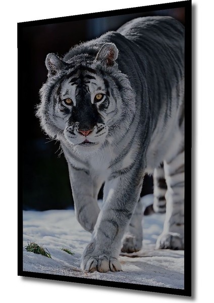 Dekoratif Dikey Sibirya Kaplanı Duvar Tablo Ahşap Dikdörtgen Tablo indirimleri