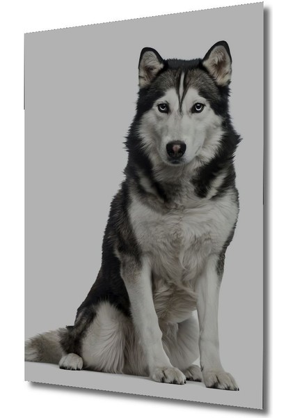 Dekoratif Dikey Sevimli Köpek Duvar Tablo Ahşap Dikdörtgen Tablo fırsatları