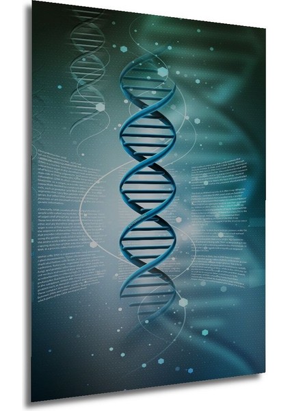 Dekoratif Dikey Dna Duvar Tablo Ahşap Dikdörtgen Tablo