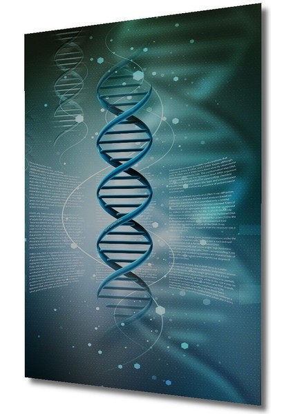 Dekoratif Dikey Dna Duvar Tablo Ahşap Dikdörtgen Tablo
