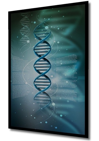 Dekoratif Dikey Dna Duvar Tablo Ahşap Dikdörtgen Tablo