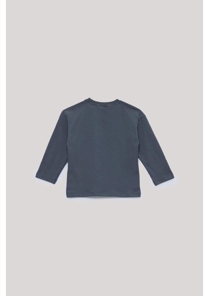 Erkek Çocuk Gri T-Shirt fiyatları