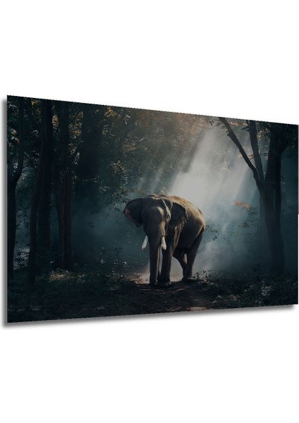 Dekoratif Ahşap Tablo Orman Fil Posteri, Fil 3 Boyutlu Şık Yatay Duvar Dekorasyon Tablosu modelleri