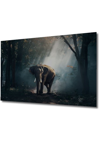 Dekoratif Ahşap Tablo Orman Fil Posteri, Fil 3 Boyutlu Şık Yatay Duvar Dekorasyon Tablosu fırsatları