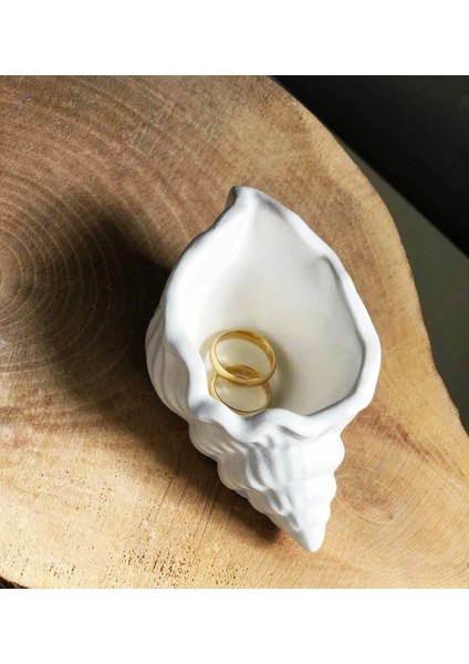 Istiridyedeniz Kabuğudekoratiftabak Takı Betonobje