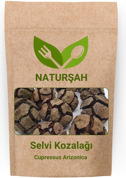 Selvi Servi Kozalağı (Cupressus Arizonica) 1 kg