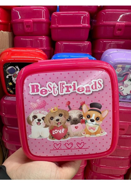 Best Friends 4 Bölmeli Çocuk Beslenme Kutusu - Yemek Saklama Kabı Kaşık ve Çatallı