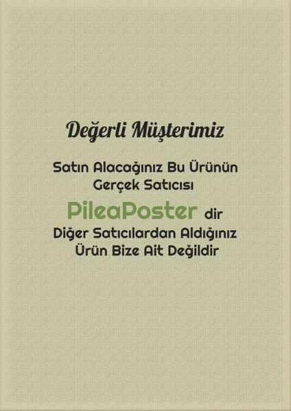 Pp Handmade,dekoratif Set|beyaz ve Pembe|biblo|saksı|3lü Dekor|dekorasyon|dekoratif Biblo|dekoratif Saksı|süs