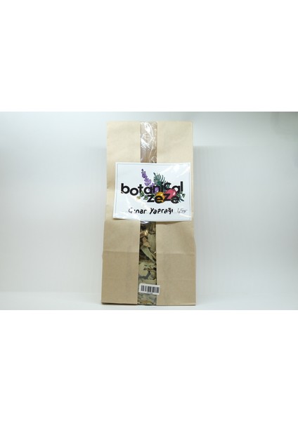 Botanical Zeze Çınar Yaprağı 45 G