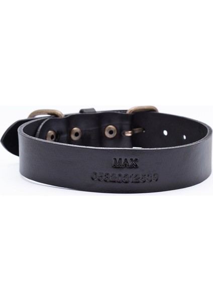 Kişiye Özel Köpek İsimli Boyun Tasması fiyatları