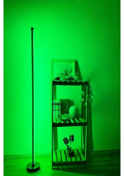 Siyah Telefon Kontrollü Rgb Köşe LED Lambader / Yuvarlak Taban