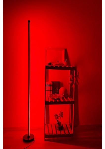Siyah Telefon Kontrollü Rgb Köşe LED Lambader / Yuvarlak Taban