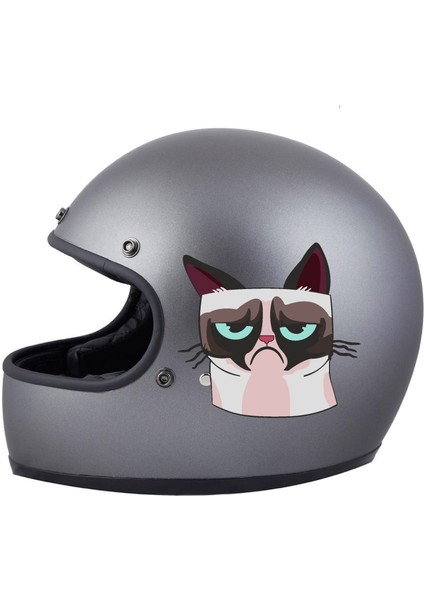 Kedi Üzgün Kedi Araba Oto Motosiklet Karavan Sticker 00460 fiyatları