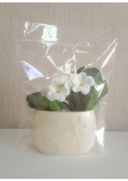 Vazo Dahil,Vazoda Çiçek,Beyaz Yapay Çiçek,Vazo Dekoratif Istiridye Poliresin 10x5x14cm indirimleri