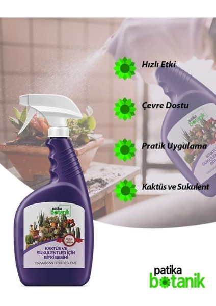 1 Lt Kaktüs ve Sukulentler Için Genel Besin - Yapraktan
