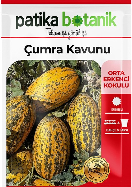 100 Adet Çumra Kavunu Tohumu