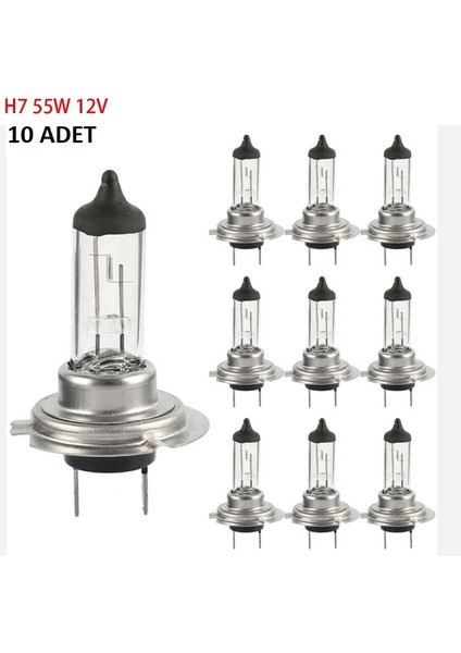 12V H7 55W Halojen Far Ampul ( 10 Adet )