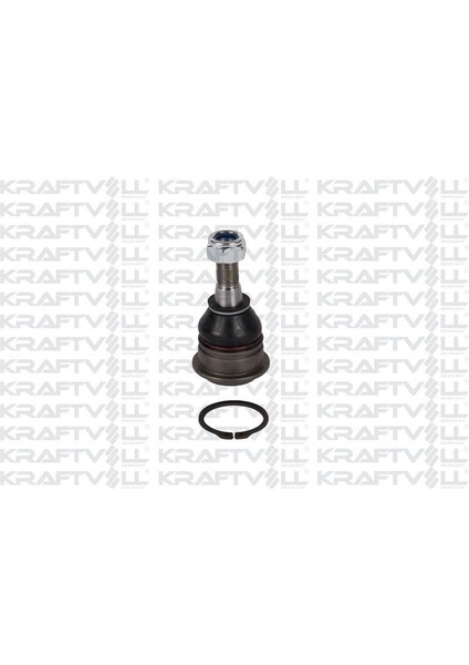 Rotıl Prımera P12 0208 Almera N16 0006 Maxıma Qx 9903