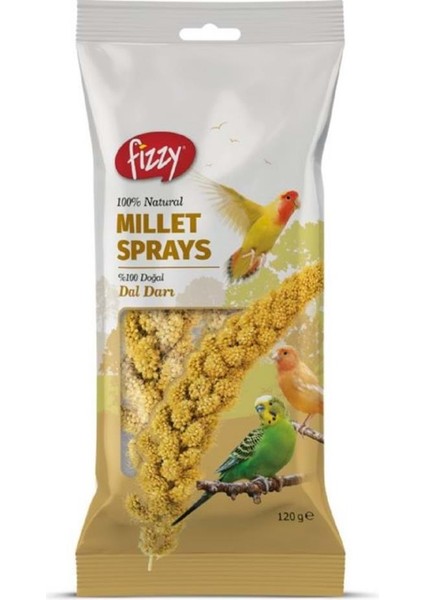 Doğal Dal Darı 120 gr 10'lu